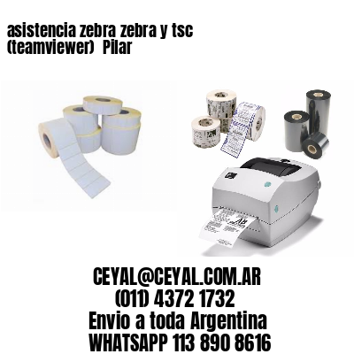 asistencia zebra zebra y tsc (teamviewer)  Pilar