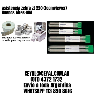 asistencia zebra zt 220 (teamviewer)  Buenos Aires-GBA
