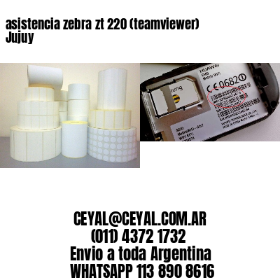 asistencia zebra zt 220 (teamviewer)  Jujuy