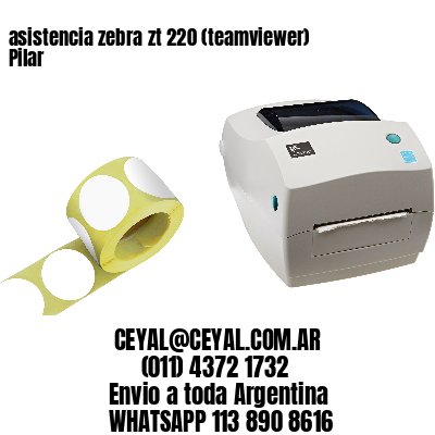 asistencia zebra zt 220 (teamviewer)  Pilar