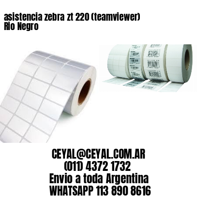 asistencia zebra zt 220 (teamviewer)  Rio Negro