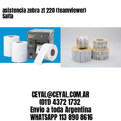 asistencia zebra zt 220 (teamviewer)  Salta