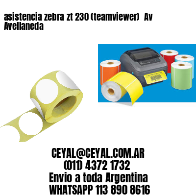 asistencia zebra zt 230 (teamviewer)  Av Avellaneda