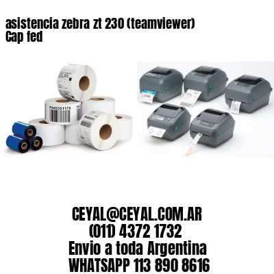 asistencia zebra zt 230 (teamviewer)  Cap fed