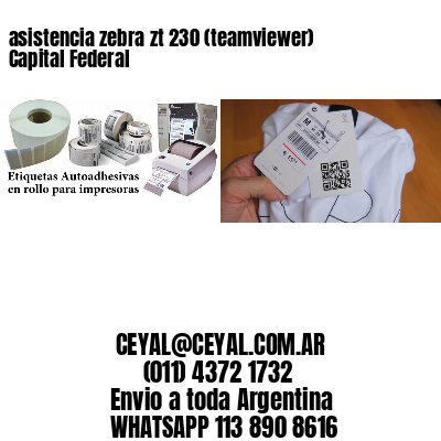 asistencia zebra zt 230 (teamviewer)  Capital Federal