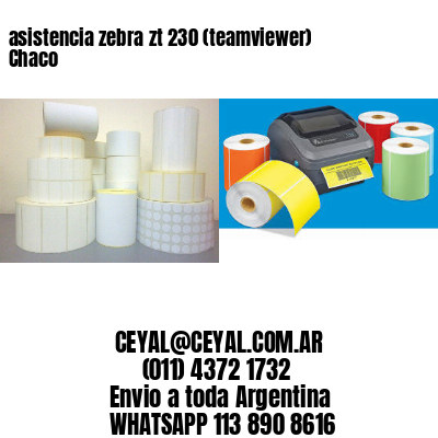 asistencia zebra zt 230 (teamviewer)  Chaco