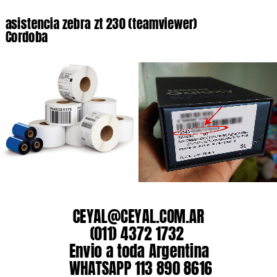 asistencia zebra zt 230 (teamviewer)  Cordoba