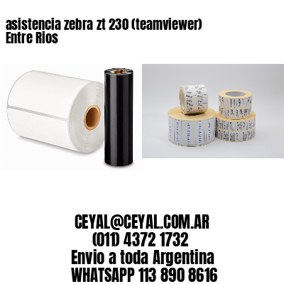 asistencia zebra zt 230 (teamviewer)  Entre Rios