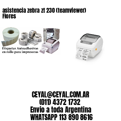 asistencia zebra zt 230 (teamviewer)  Flores