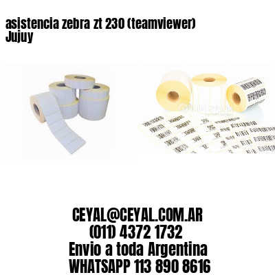 asistencia zebra zt 230 (teamviewer)  Jujuy