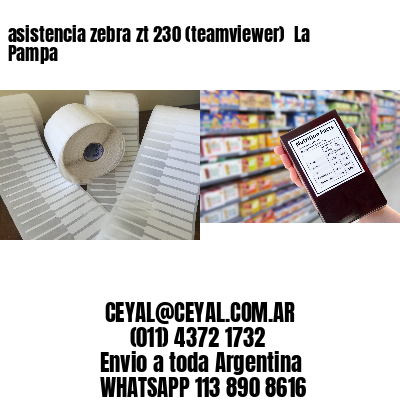 asistencia zebra zt 230 (teamviewer)  La Pampa