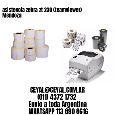 asistencia zebra zt 230 (teamviewer)  Mendoza