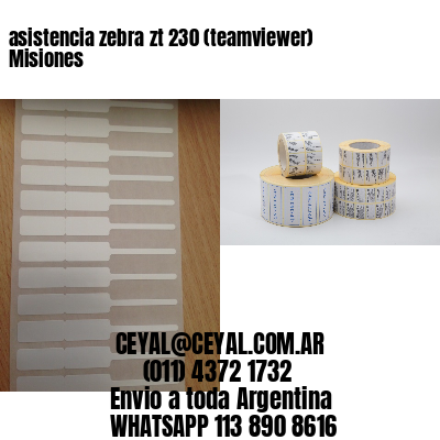 asistencia zebra zt 230 (teamviewer)  Misiones