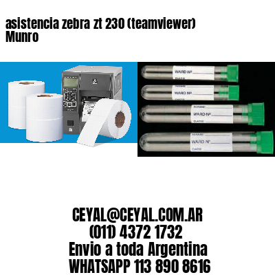 asistencia zebra zt 230 (teamviewer)  Munro