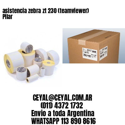asistencia zebra zt 230 (teamviewer)  Pilar