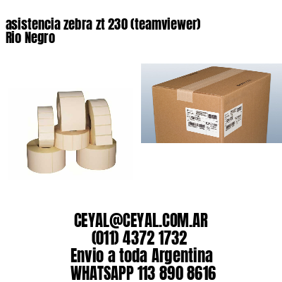 asistencia zebra zt 230 (teamviewer)  Rio Negro