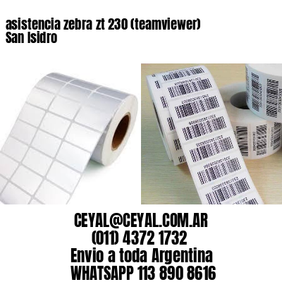 asistencia zebra zt 230 (teamviewer)  San Isidro
