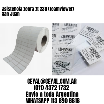 asistencia zebra zt 230 (teamviewer)  San Juan