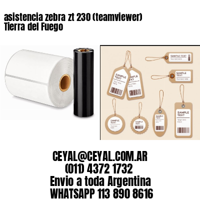 asistencia zebra zt 230 (teamviewer)  Tierra del Fuego