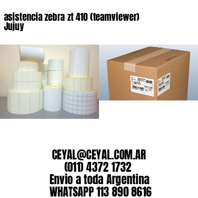 asistencia zebra zt 410 (teamviewer)  Jujuy