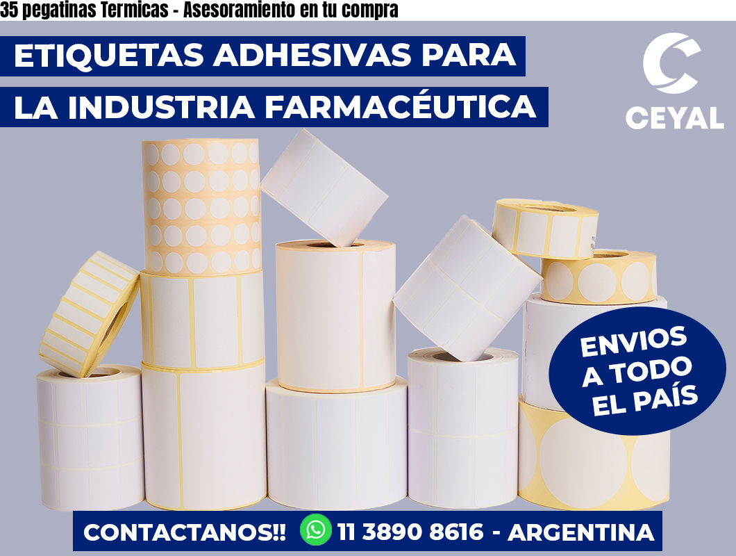 35 pegatinas Termicas - Asesoramiento en tu compra