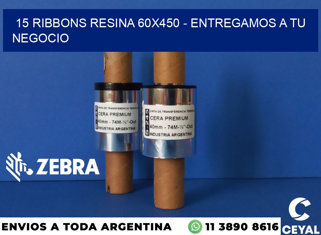 15 Ribbons resina 60x450 - entregamos a tu negocio