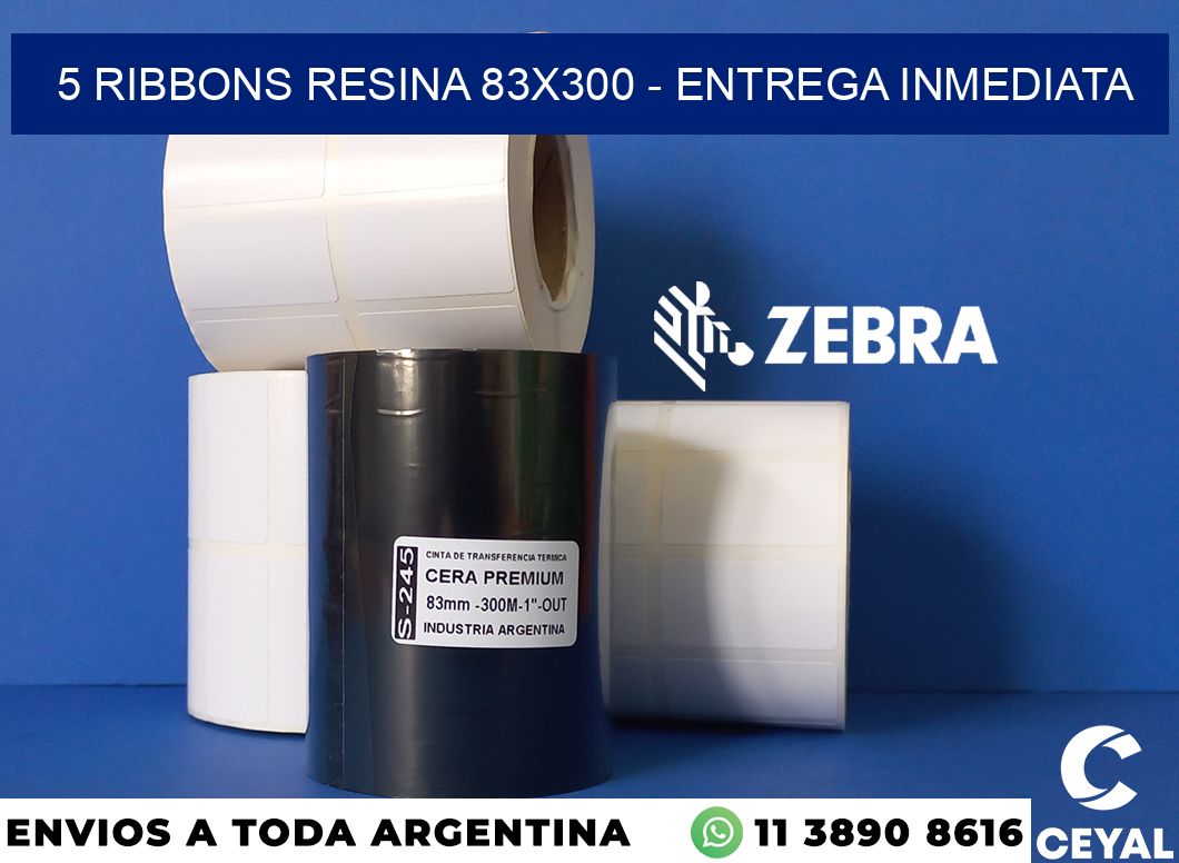5 Ribbons resina 83x300 - Entrega inmediata