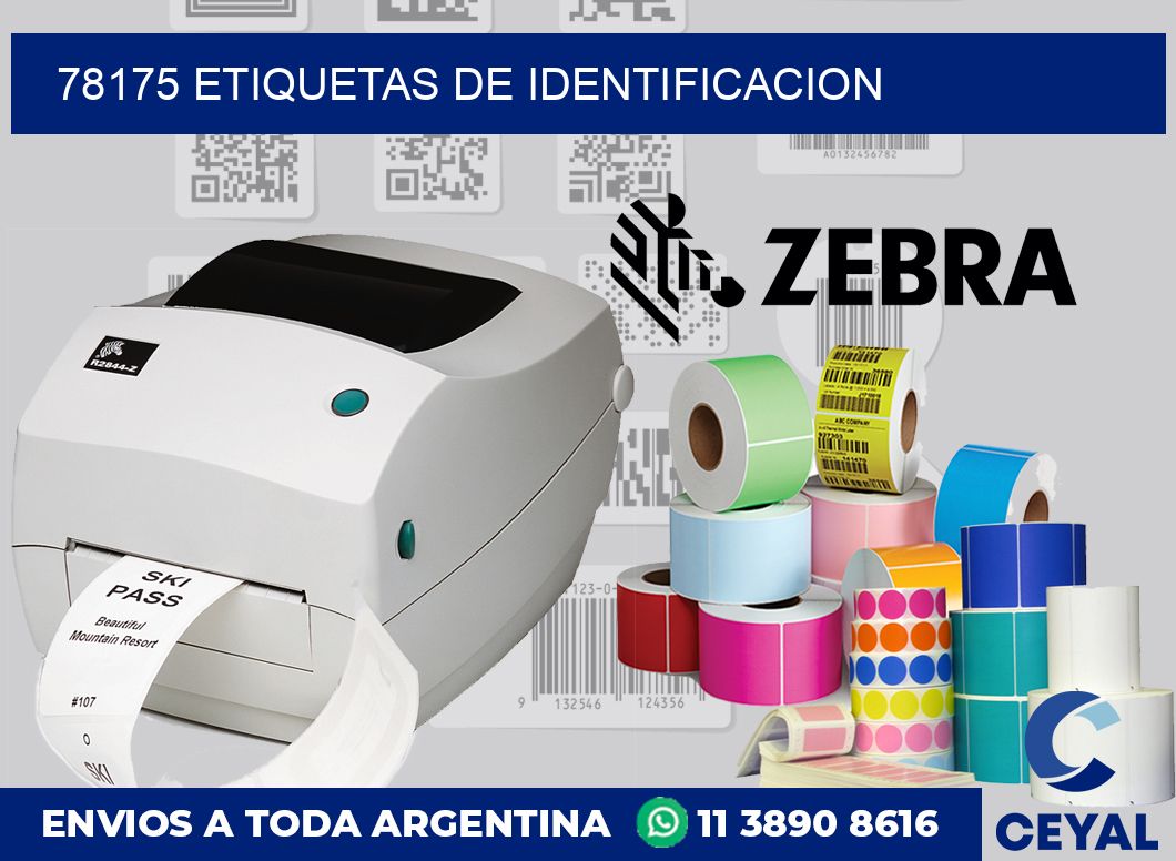 78175 Etiquetas de identificacion