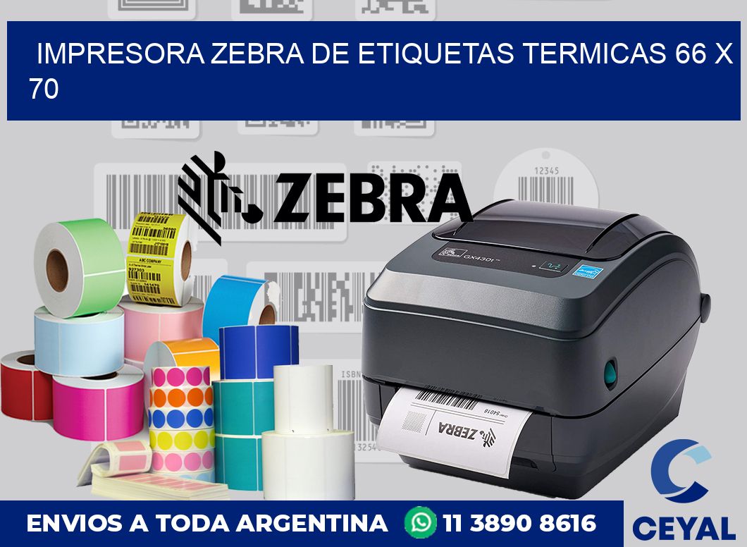 Impresora Zebra de etiquetas termicas 66 x 70