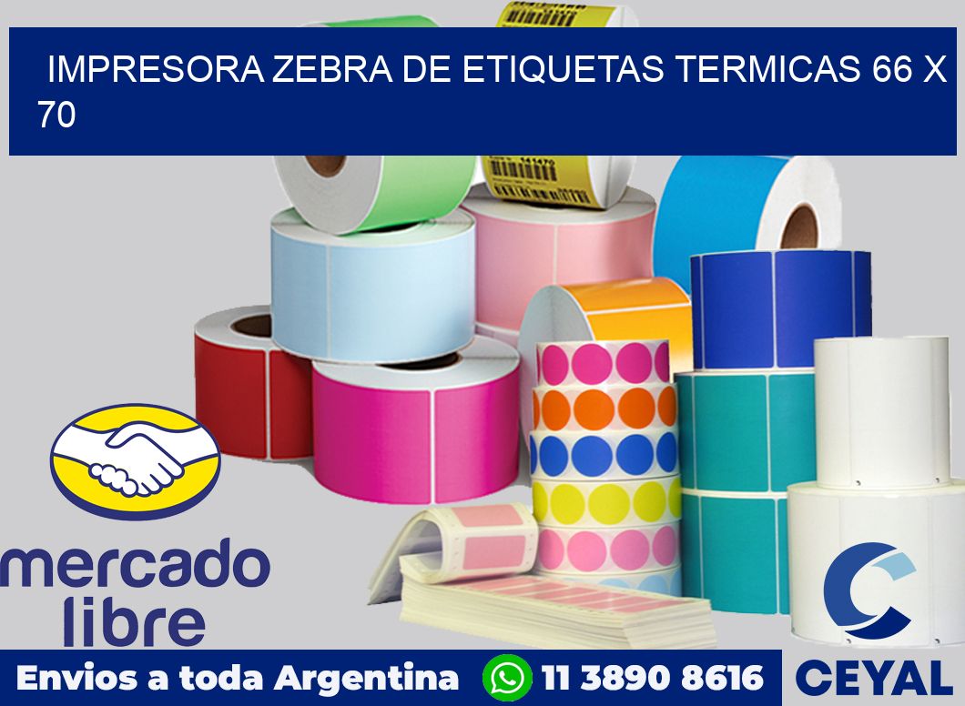 Impresora Zebra de etiquetas termicas 66 x 70