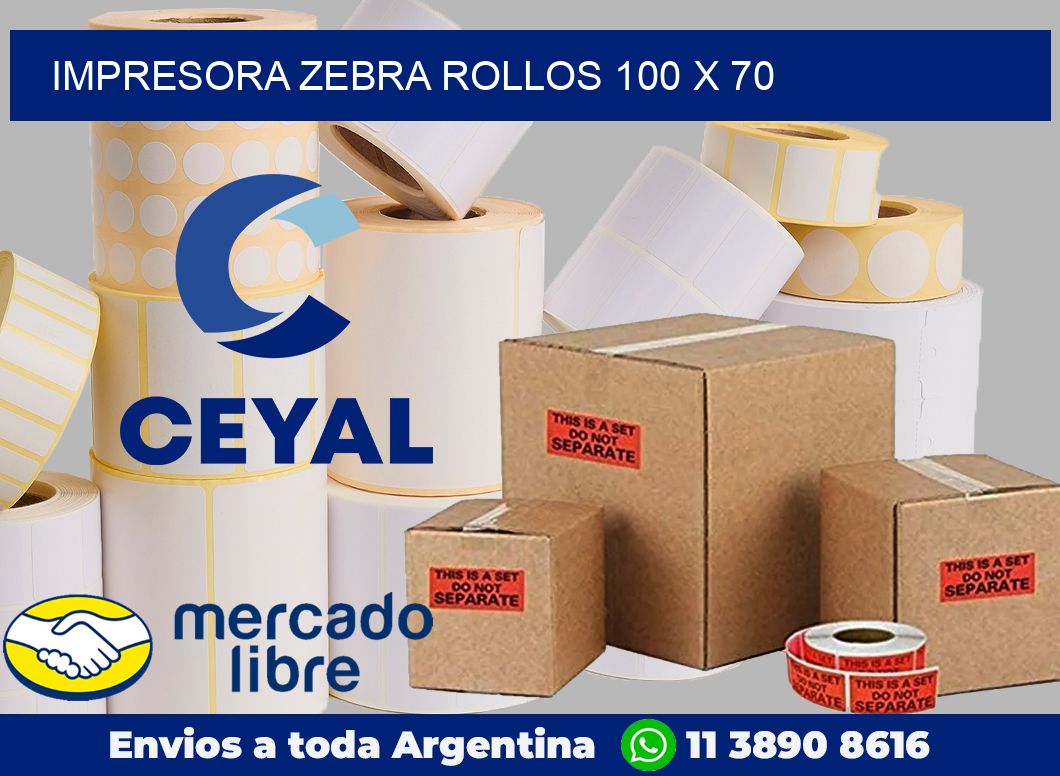 Impresora Zebra rollos 100 x 70