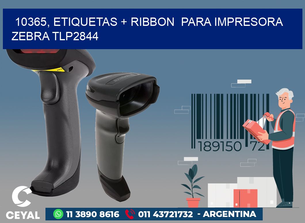 10365, etiquetas + ribbon  para impresora zebra TLP2844