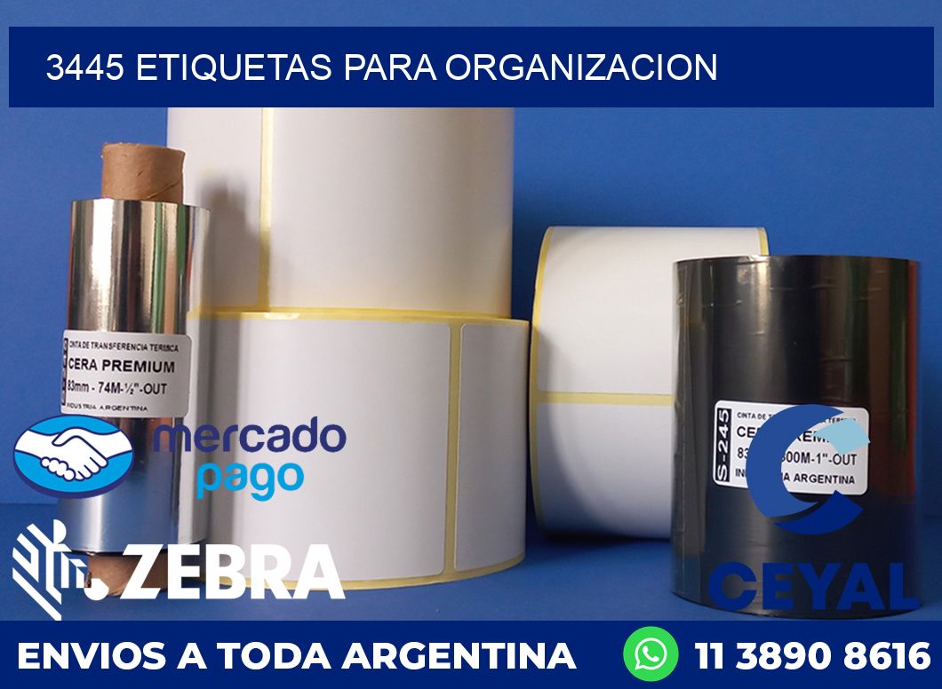 3445 ETIQUETAS PARA ORGANIZACION