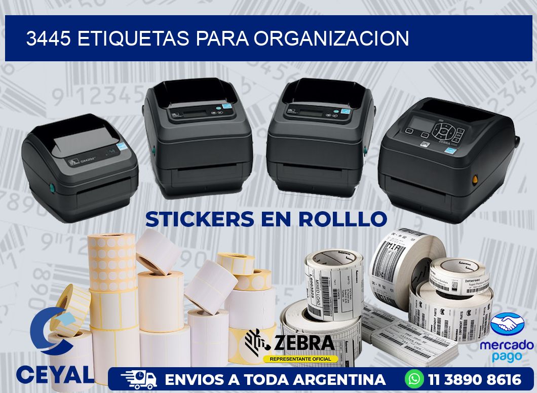 3445 ETIQUETAS PARA ORGANIZACION