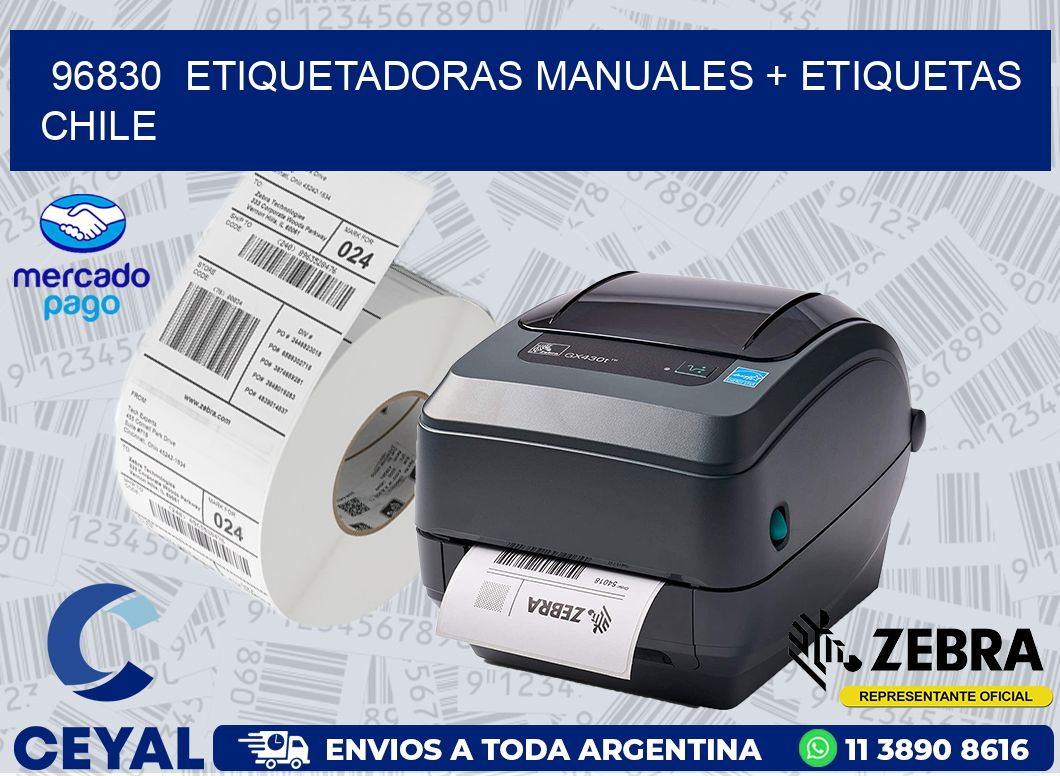 96830  ETIQUETADORAS MANUALES + ETIQUETAS CHILE