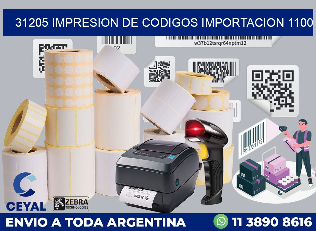 31205 impresion de codigos importacion 1100