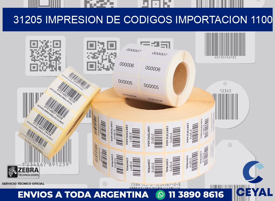 31205 impresion de codigos importacion 1100