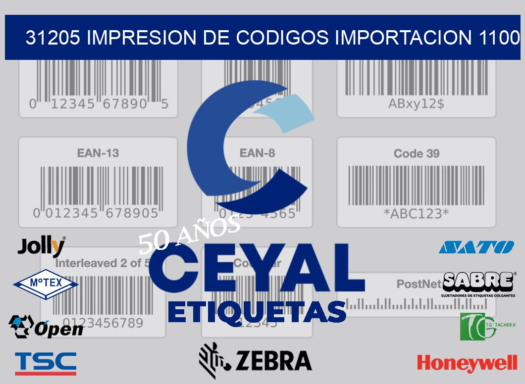 31205 impresion de codigos importacion 1100