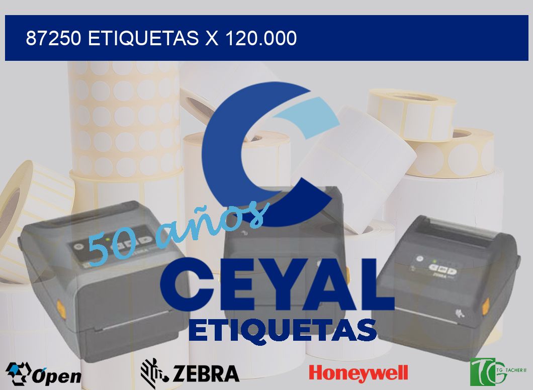 87250 Etiquetas x 120.000
