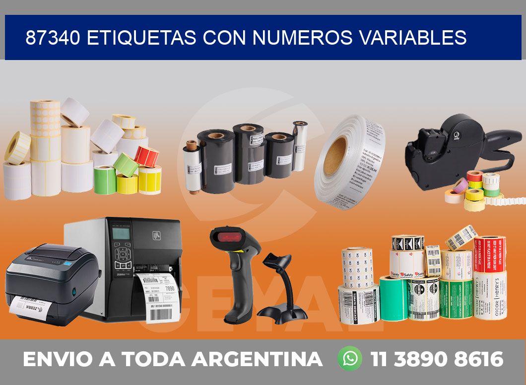 87340 ETIQUETAS CON NUMEROS VARIABLES