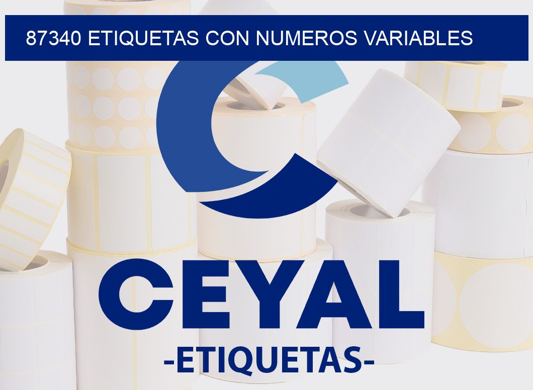 87340 ETIQUETAS CON NUMEROS VARIABLES