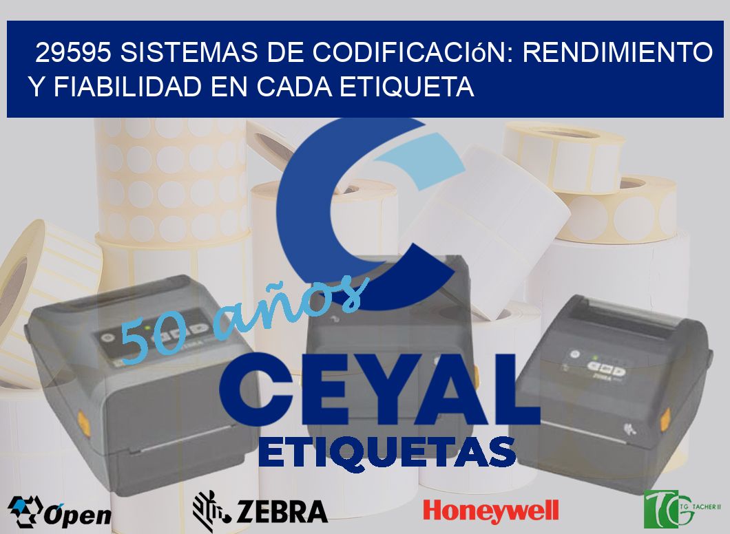 29595 Sistemas de Codificación: Rendimiento y Fiabilidad en Cada Etiqueta