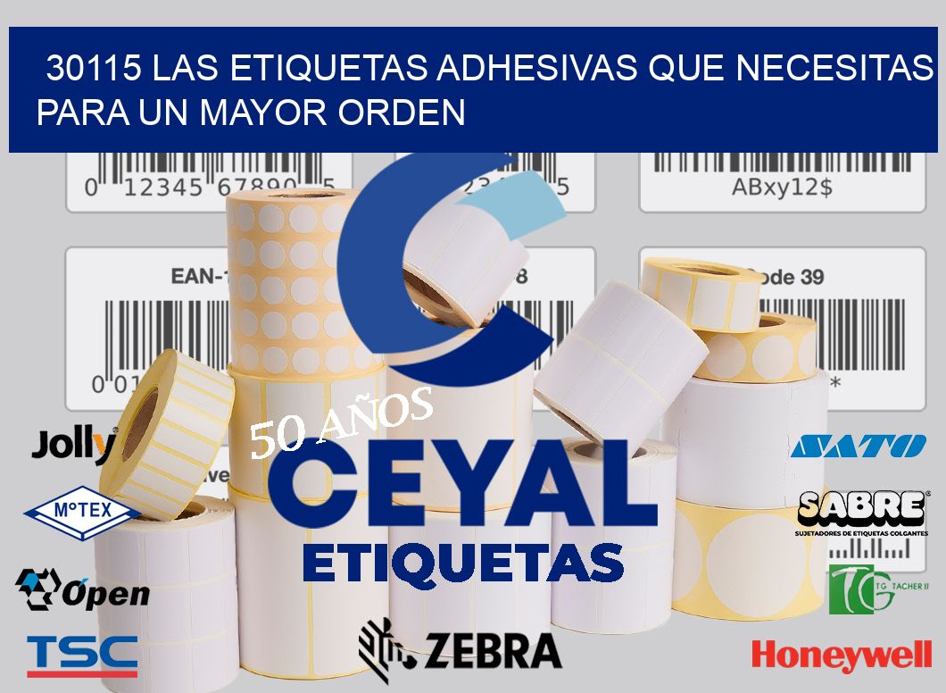 30115 LAS ETIQUETAS ADHESIVAS QUE NECESITAS PARA UN MAYOR ORDEN