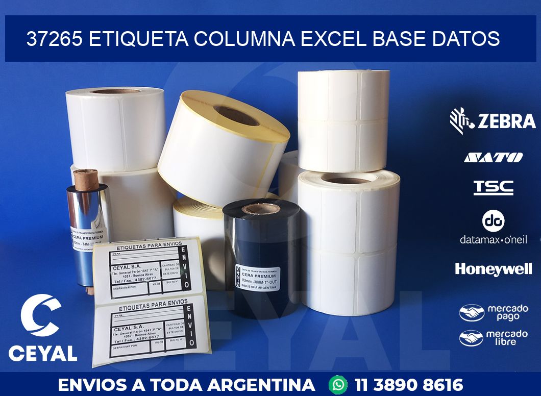 37265 etiqueta columna excel base datos