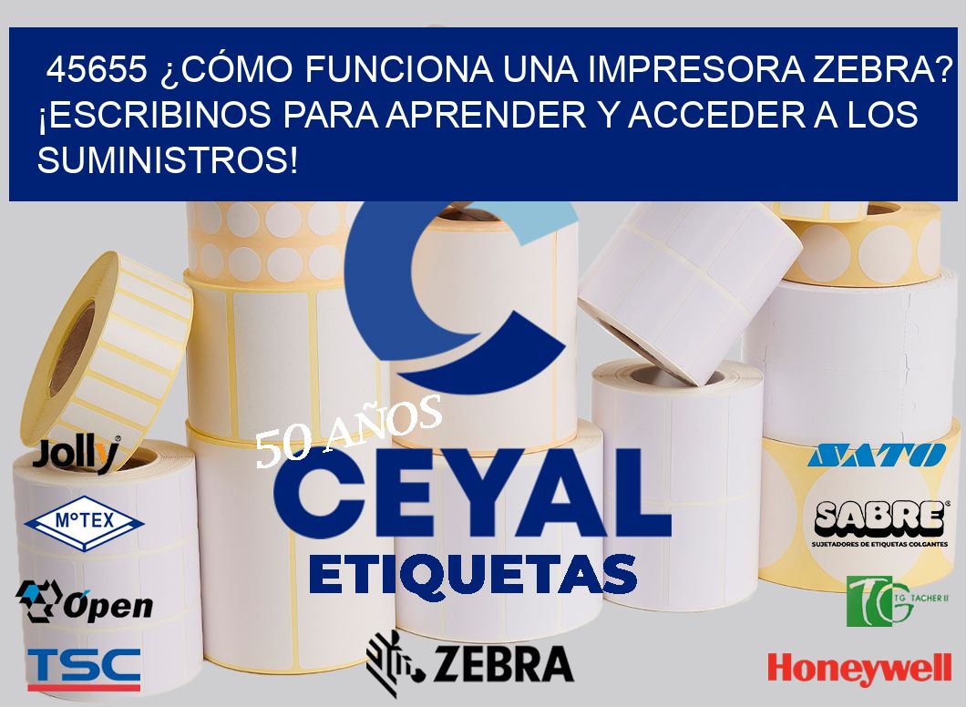 45655 ¿CÓMO FUNCIONA UNA IMPRESORA ZEBRA? ¡ESCRIBINOS PARA APRENDER Y ACCEDER A LOS SUMINISTROS!