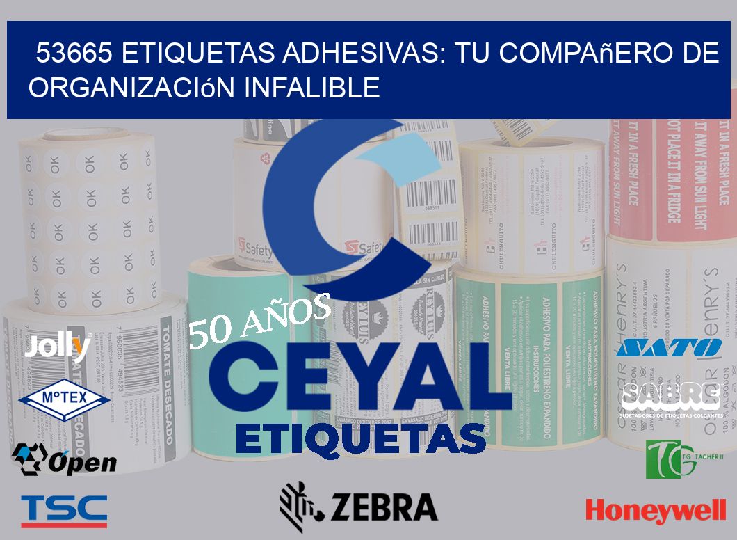 53665 Etiquetas Adhesivas: Tu Compañero de Organización Infalible