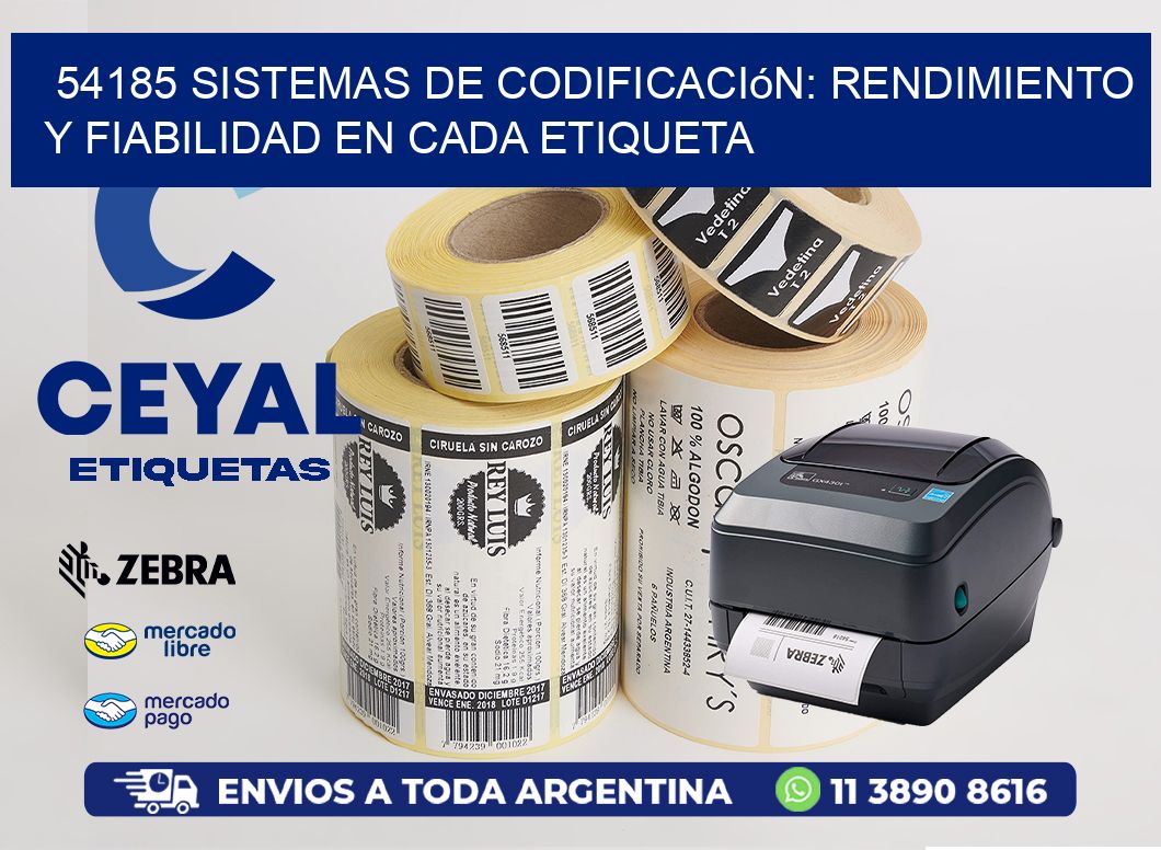 54185 Sistemas de Codificación: Rendimiento y Fiabilidad en Cada Etiqueta