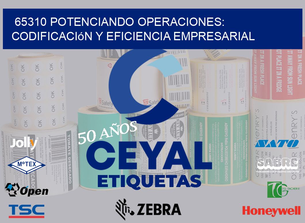 65310 Potenciando Operaciones: Codificación y Eficiencia Empresarial