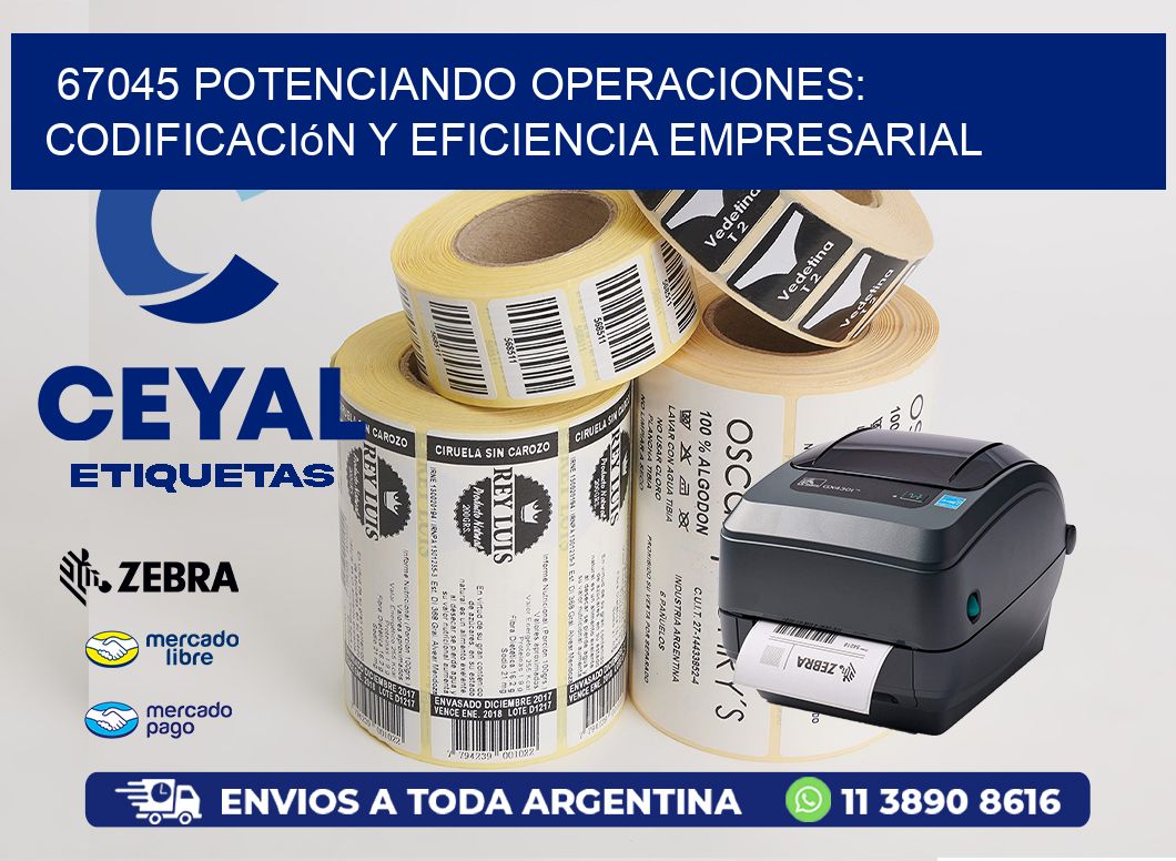 67045 Potenciando Operaciones: Codificación y Eficiencia Empresarial