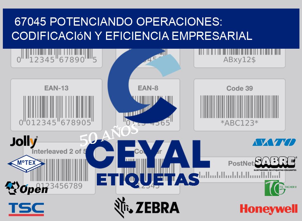 67045 Potenciando Operaciones: Codificación y Eficiencia Empresarial